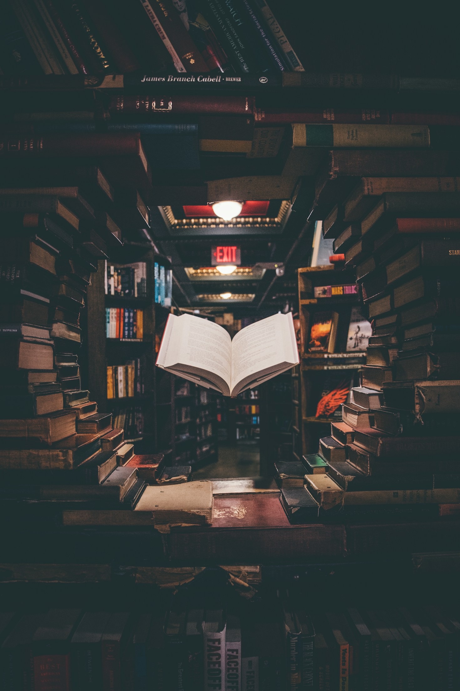 Why Independent Bookstores Are Making a Comeback