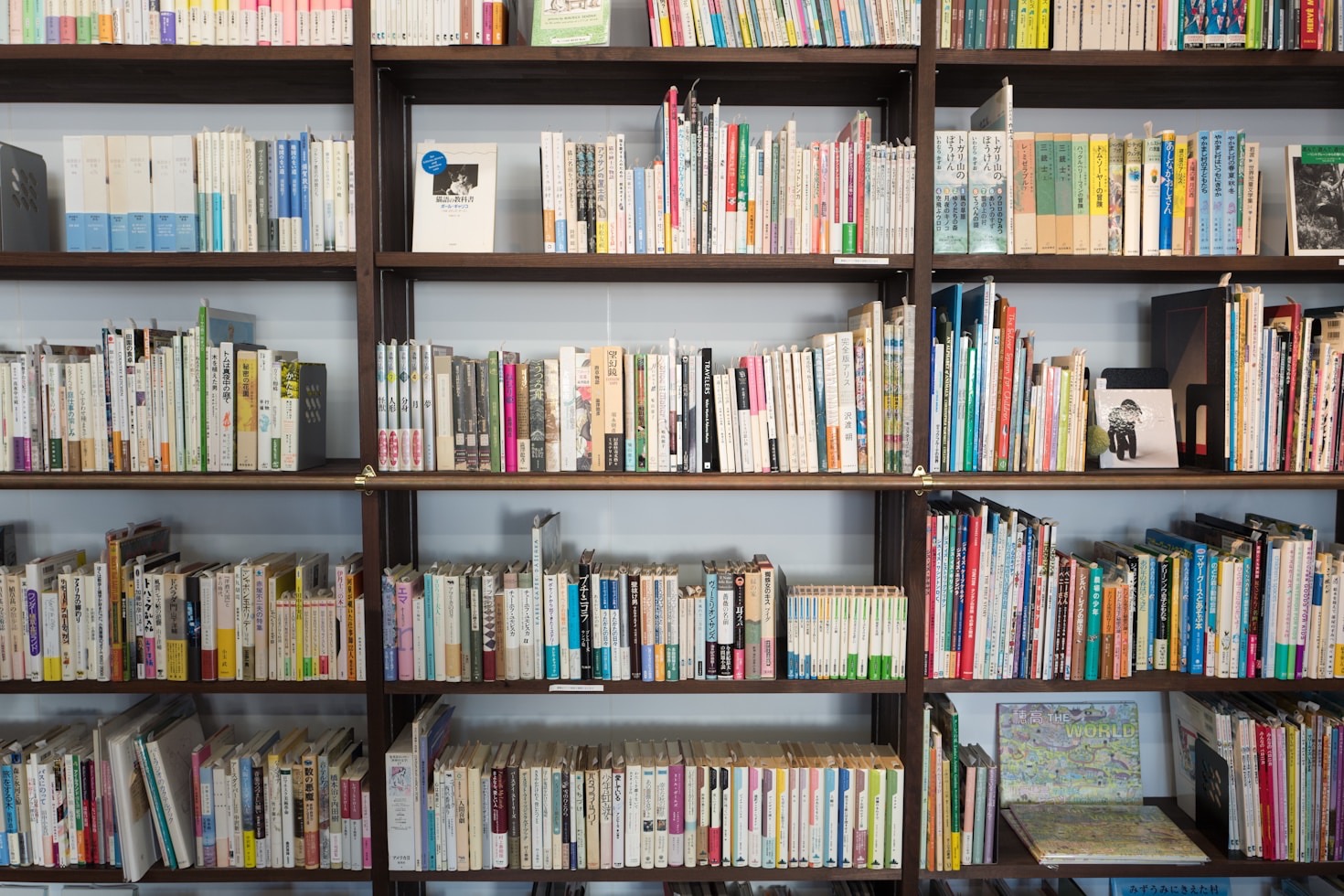 Behind the Scenes: Growing an Independent Bookstore