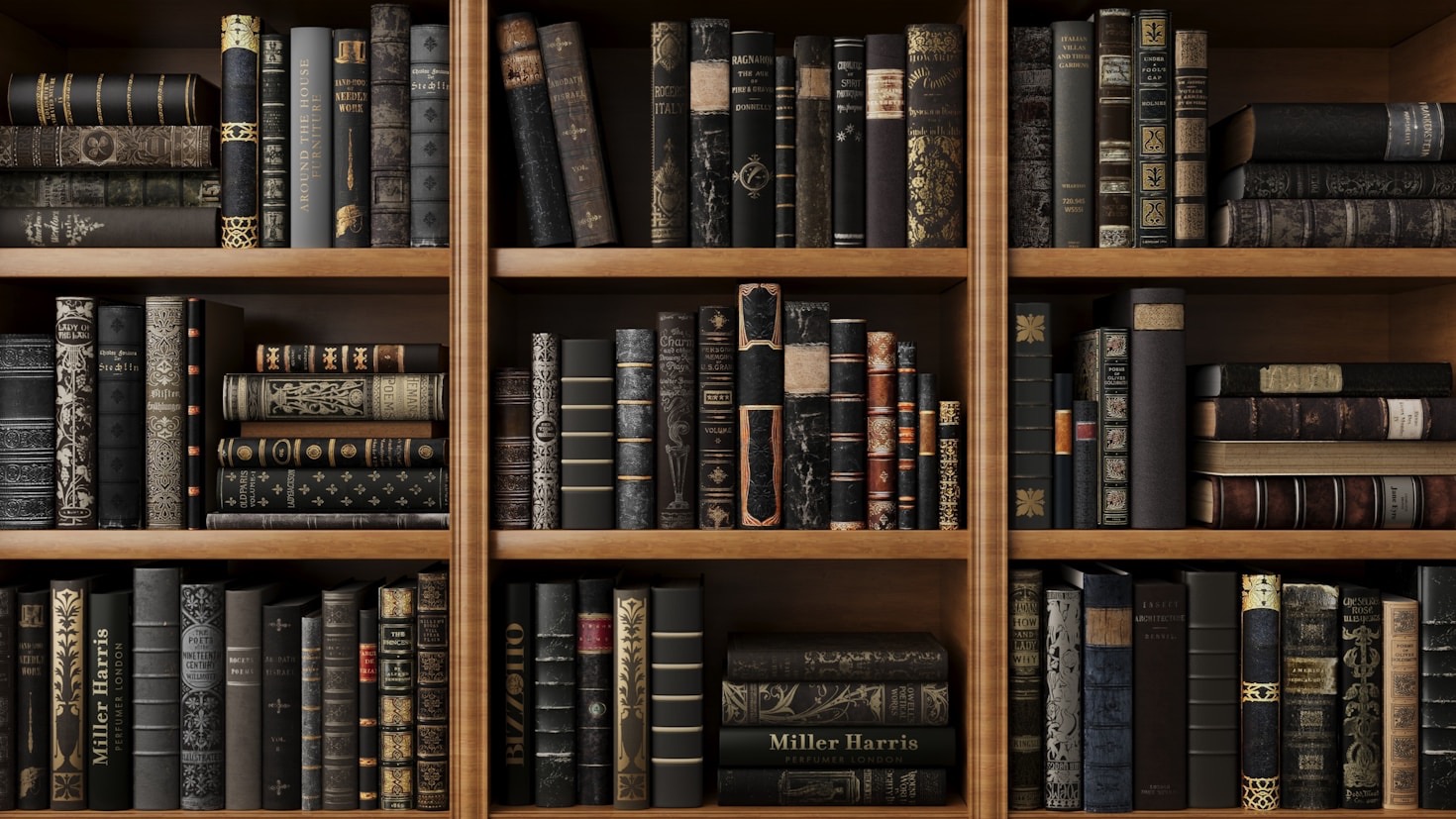 Staff Picks: Our Favorite Reads This Month